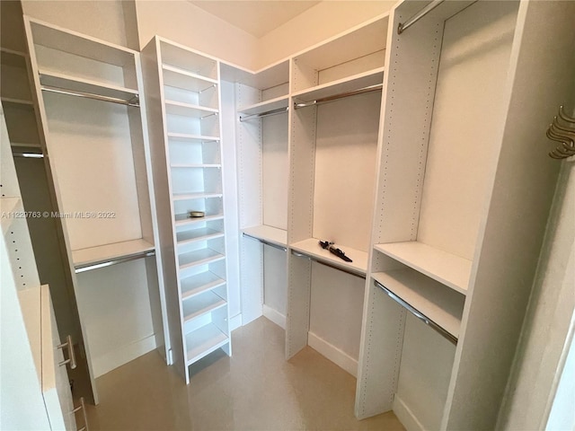 view of spacious closet