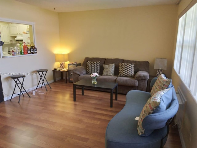 living room featuring a healthy amount of sunlight and hardwood / wood-style floors