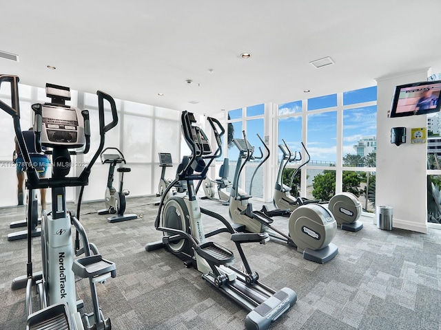 exercise room with light carpet and expansive windows