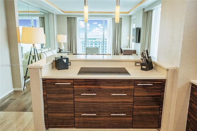 interior space with decorative light fixtures, black electric stovetop, and light hardwood / wood-style flooring