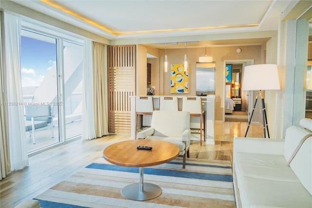 living room with light hardwood / wood-style floors