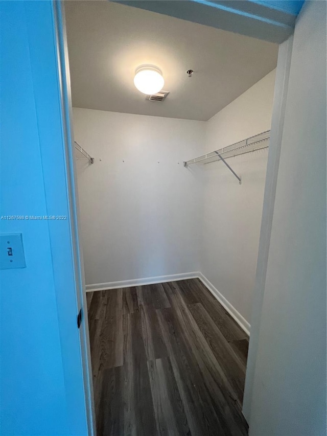 spacious closet with dark wood-type flooring