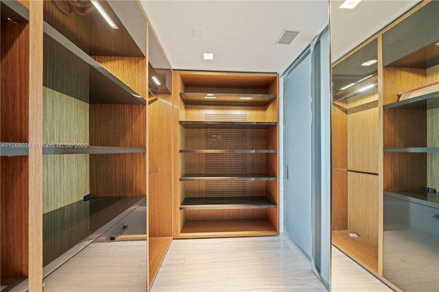 view of walk in closet