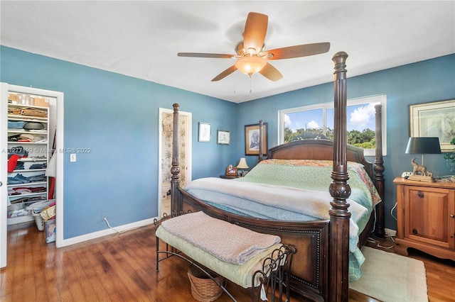 bedroom featuring a closet, ceiling fan, a spacious closet, and dark wood-type flooring