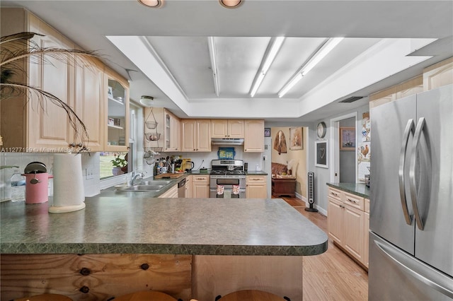 kitchen featuring a tray ceiling, light hardwood / wood-style floors, appliances with stainless steel finishes, and sink