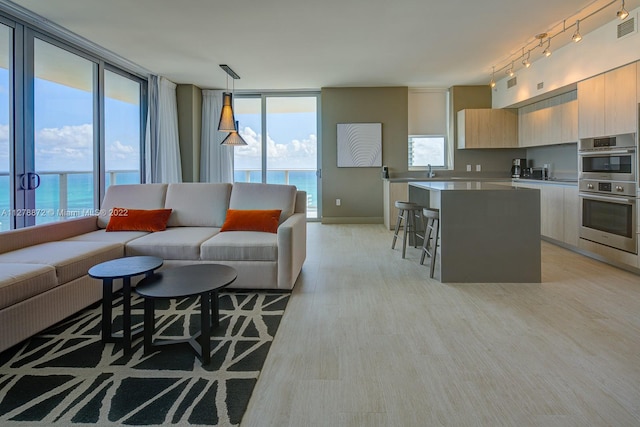 living room featuring floor to ceiling windows, a water view, track lighting, light wood-type flooring, and sink