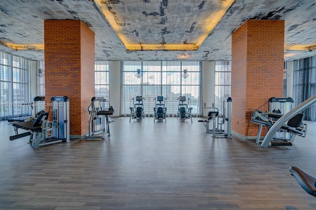 gym with brick wall, dark hardwood / wood-style floors, ceiling fan, expansive windows, and a tray ceiling