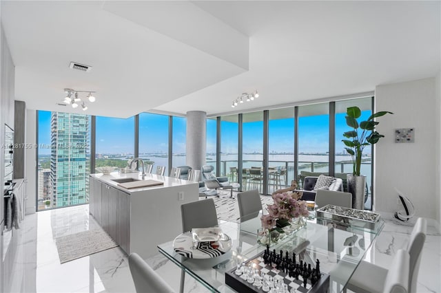 interior space featuring track lighting, expansive windows, sink, and a water view