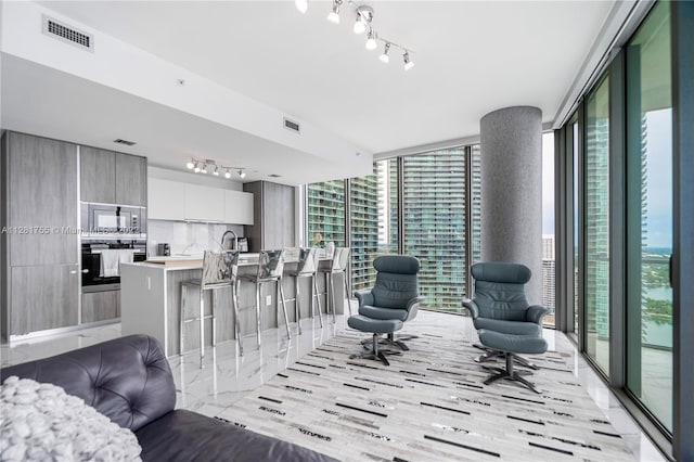 living room with a healthy amount of sunlight, floor to ceiling windows, and track lighting