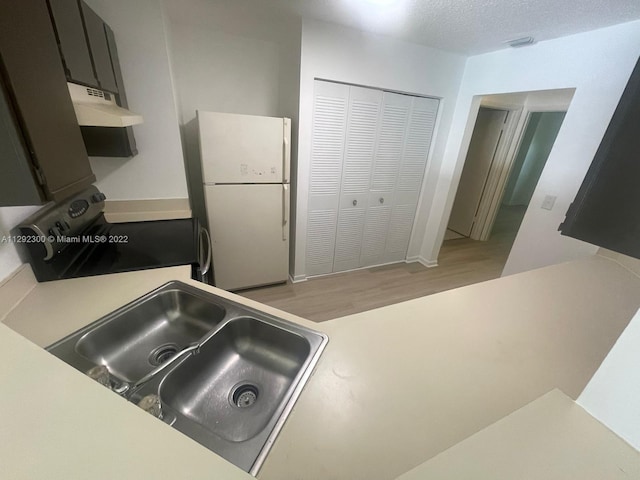 kitchen featuring electric stove, sink, white fridge, light hardwood / wood-style flooring, and wall chimney range hood