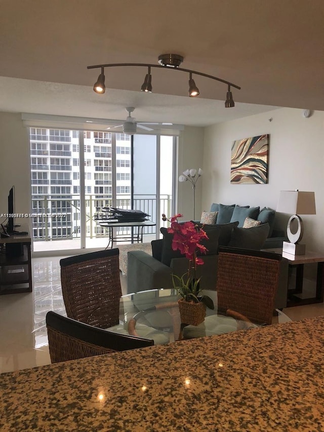 living room with track lighting and ceiling fan