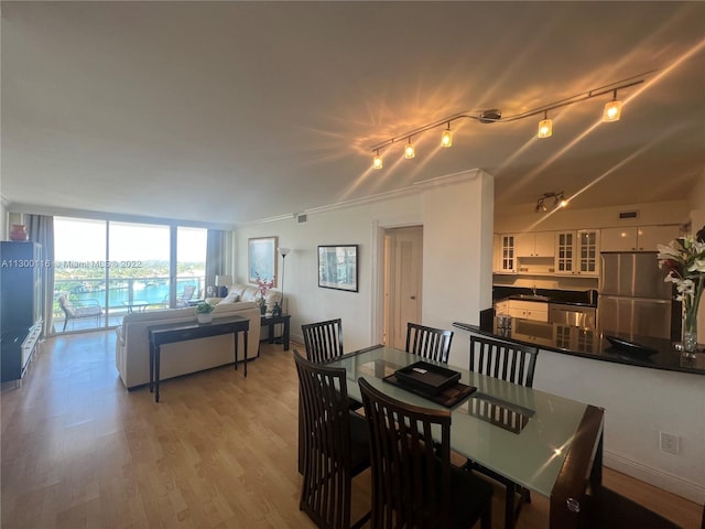 dining room with rail lighting and light hardwood / wood-style flooring