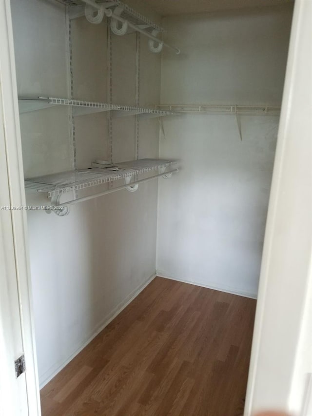 spacious closet featuring dark hardwood / wood-style floors