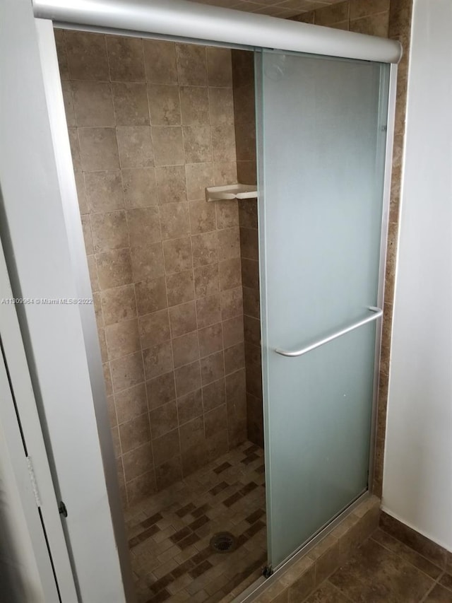 bathroom featuring walk in shower and tile floors