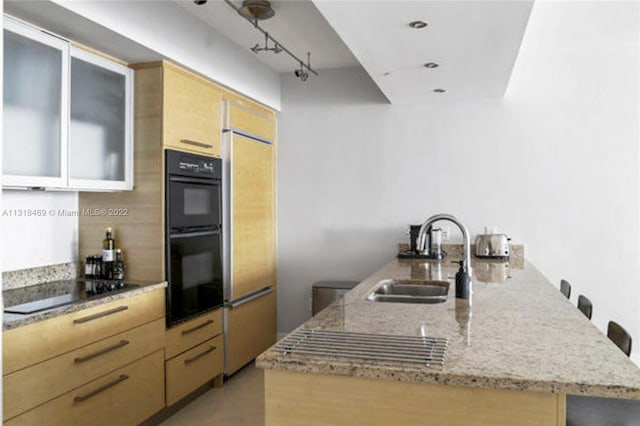 kitchen with kitchen peninsula, sink, rail lighting, light stone countertops, and black appliances