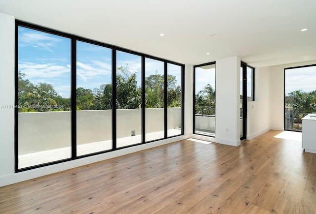 spare room with expansive windows and light hardwood / wood-style flooring