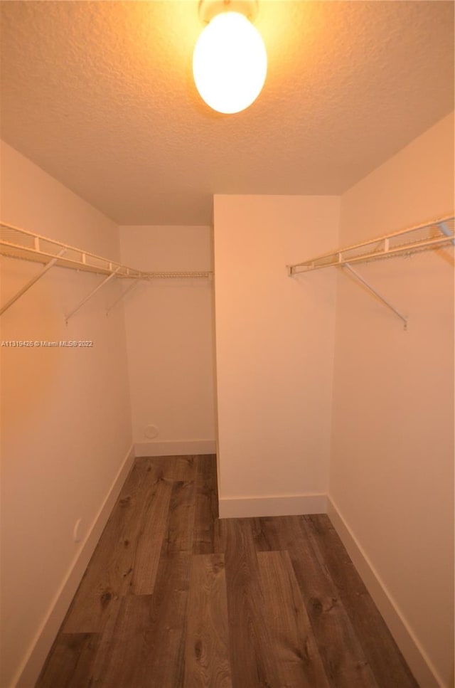 spacious closet featuring dark hardwood / wood-style flooring