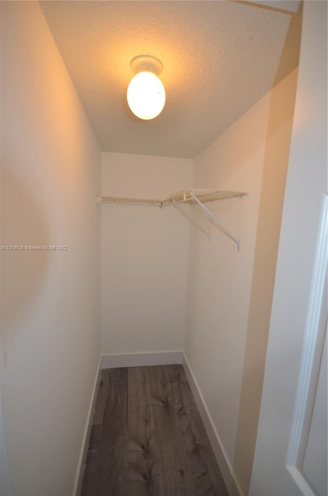 spacious closet featuring dark hardwood / wood-style floors