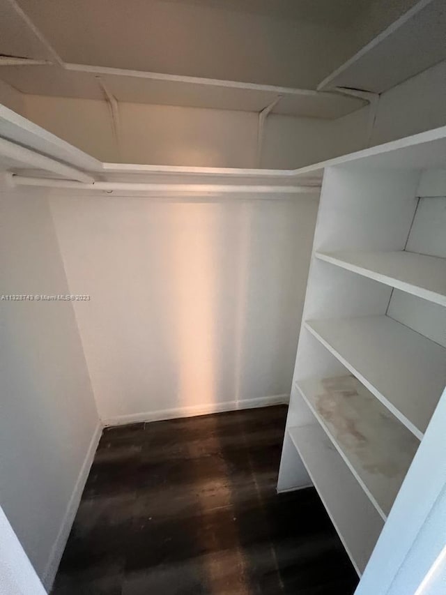 walk in closet featuring dark wood-type flooring