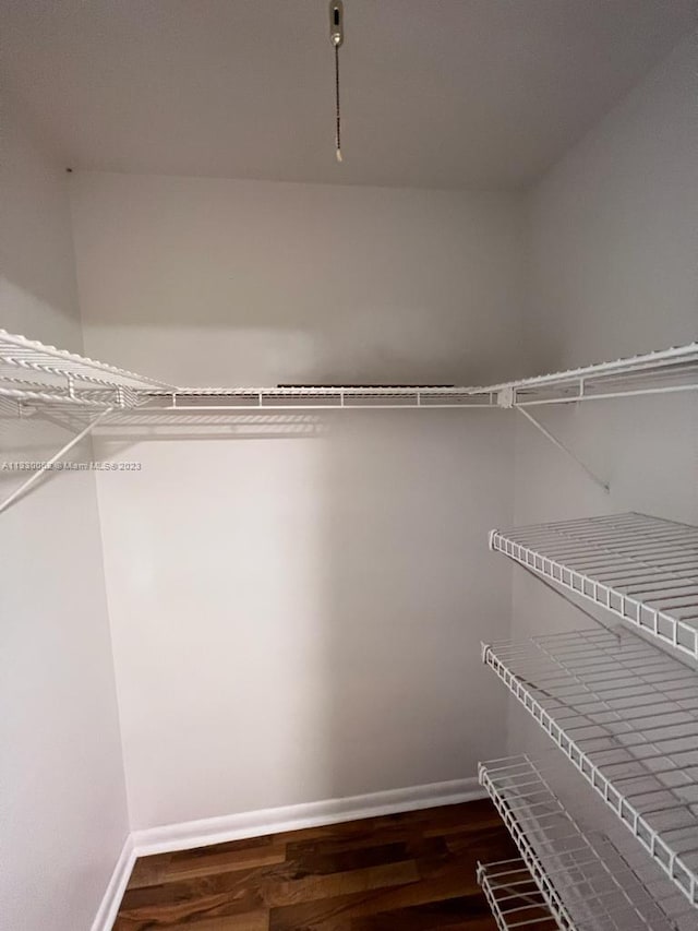 spacious closet featuring dark hardwood / wood-style flooring