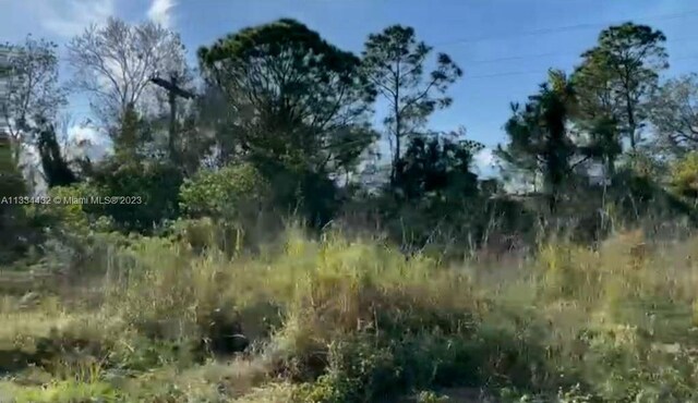 101 Al Don Farming Rd, Clewiston, FL 33440 - photo 2