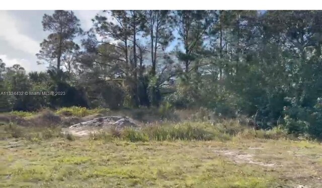 101 Al Don Farming Rd, Clewiston, FL 33440 - photo 5