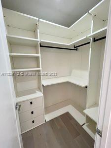 spacious closet with hardwood / wood-style flooring