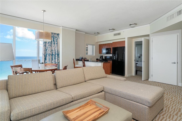 living room with light carpet, a water view, ornamental molding, and sink