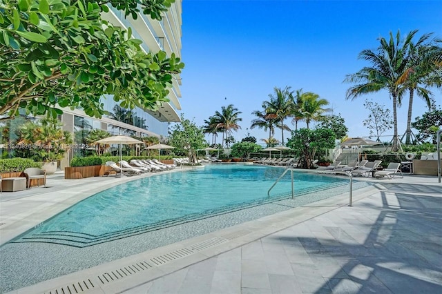 view of swimming pool featuring a patio