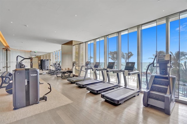 exercise room with light hardwood / wood-style floors and a wall of windows