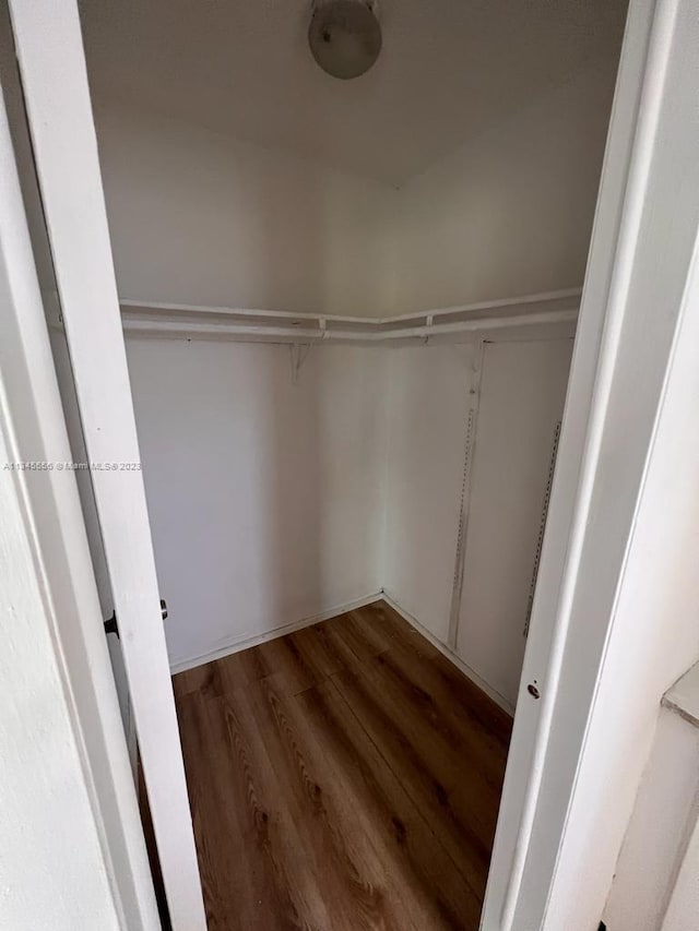 walk in closet featuring dark wood-type flooring