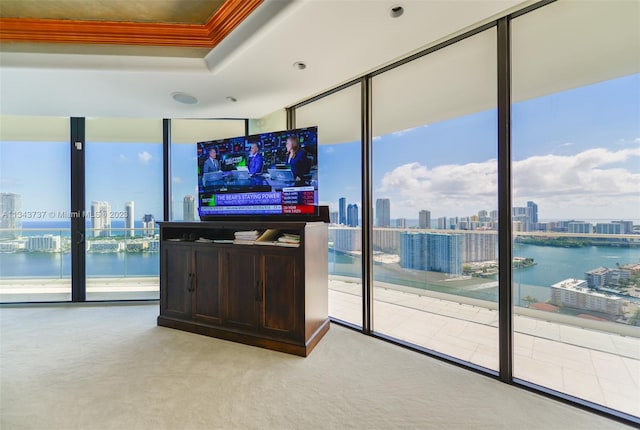 interior space with a water view, light colored carpet, and a wealth of natural light