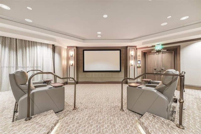 cinema featuring carpet floors and a tray ceiling