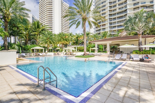 view of pool featuring a patio