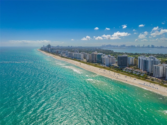 drone / aerial view with a water view and a view of the beach