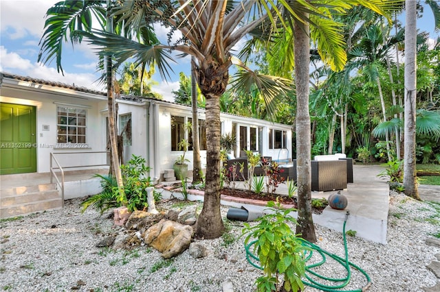 view of yard featuring a patio