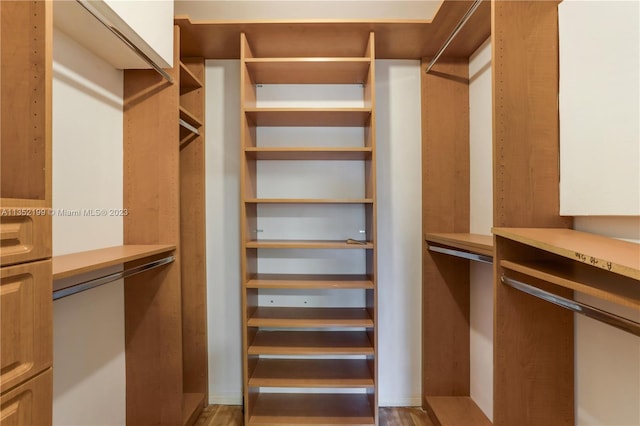 spacious closet featuring dark wood-type flooring