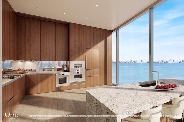 kitchen with plenty of natural light, a water view, light stone countertops, and light wood-type flooring