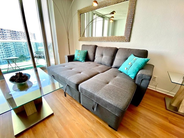 living room featuring light hardwood / wood-style flooring