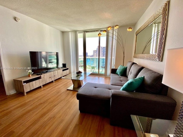 living room with a textured ceiling and wood-type flooring