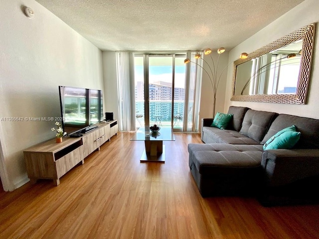 living room with a textured ceiling and light wood-type flooring