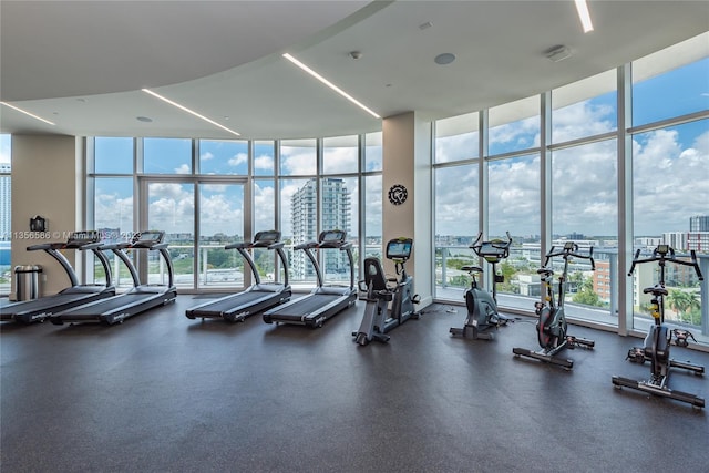 exercise room featuring expansive windows