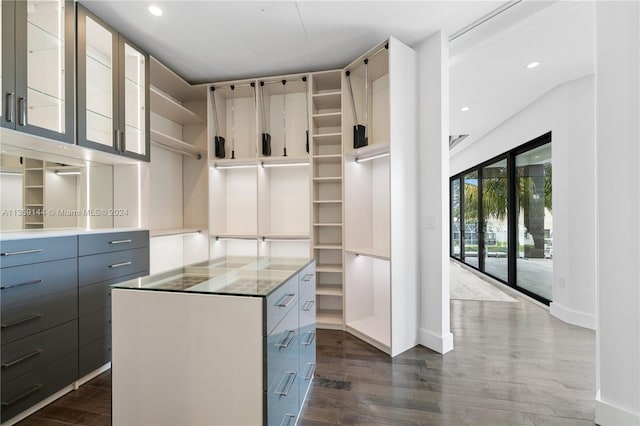 spacious closet featuring dark wood-type flooring