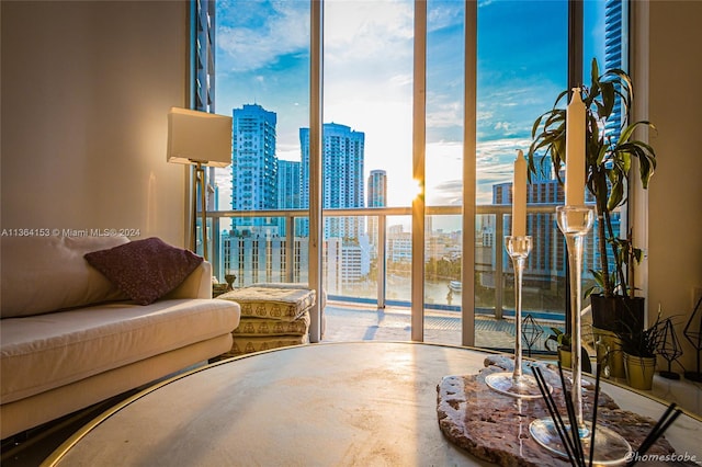 living room featuring floor to ceiling windows and a wealth of natural light