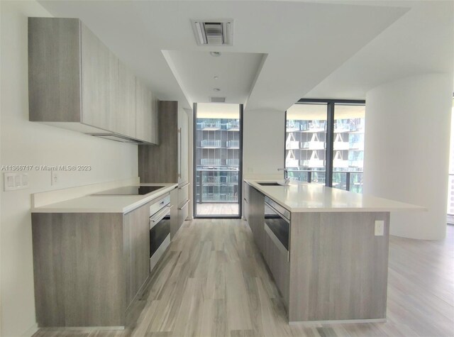 kitchen with oven, black electric cooktop, light wood-type flooring, a kitchen island with sink, and expansive windows