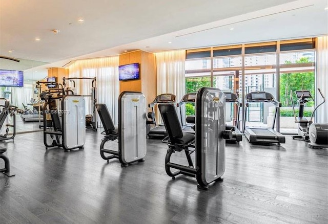 workout area with floor to ceiling windows