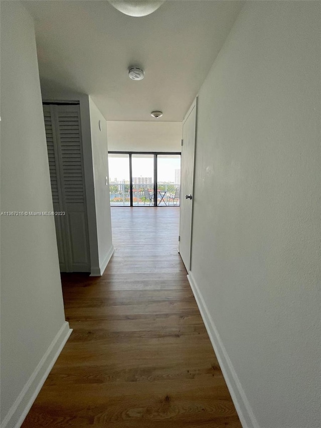 hallway featuring hardwood / wood-style floors