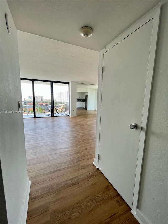 hallway featuring hardwood / wood-style floors