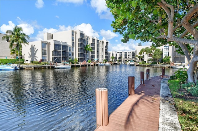 dock area with a water view