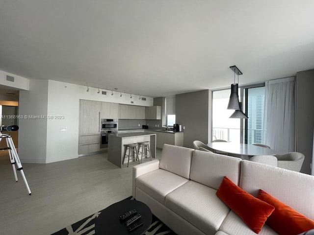 living room featuring track lighting and hardwood / wood-style flooring